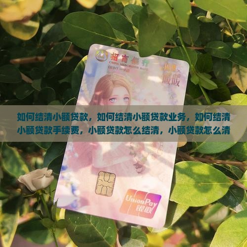 如何结清小额贷款