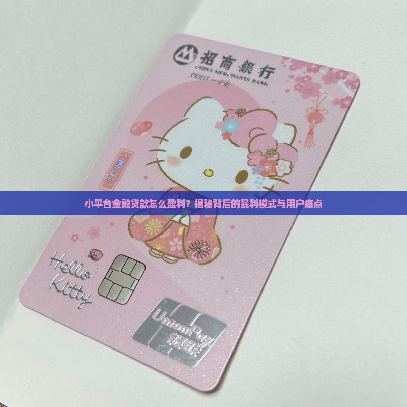小平台金融贷款如何盈利