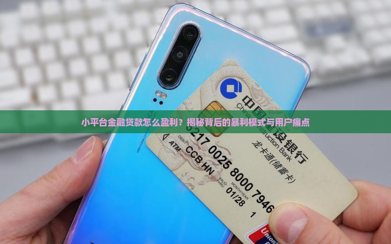 小平台金融贷款如何盈利