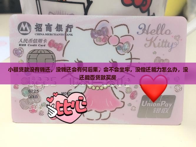 小额贷款没有钱还