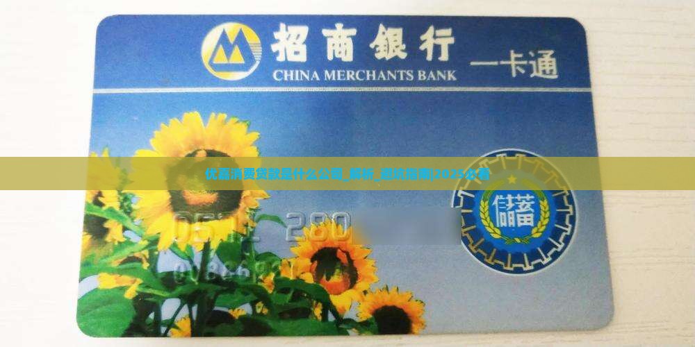 优嘉消费贷款是什么公司 优嘉消费贷款是什么公司
