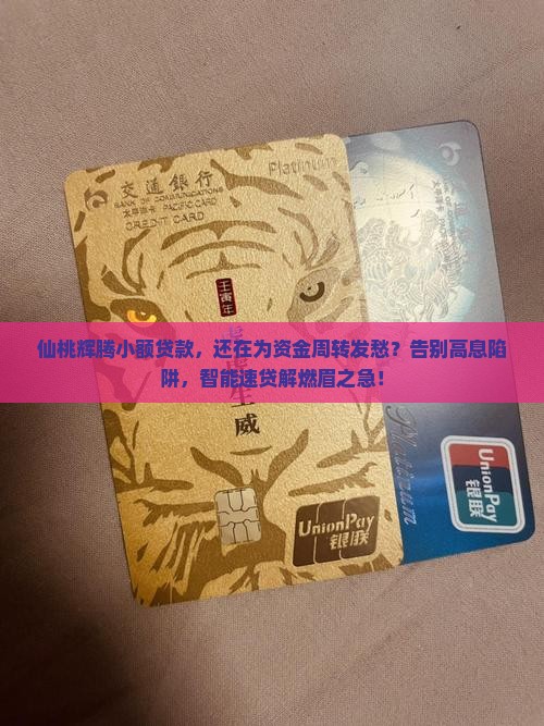 仙桃辉腾小额贷款
