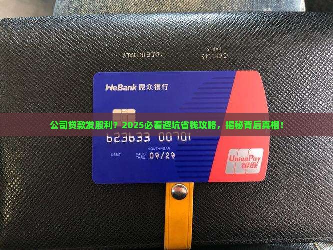 公司贷款发股利
