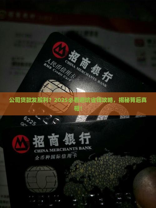 公司贷款发股利