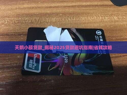 天鹅小额贷款