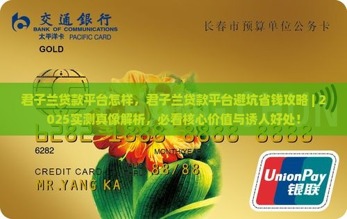 君子兰贷款平台怎样