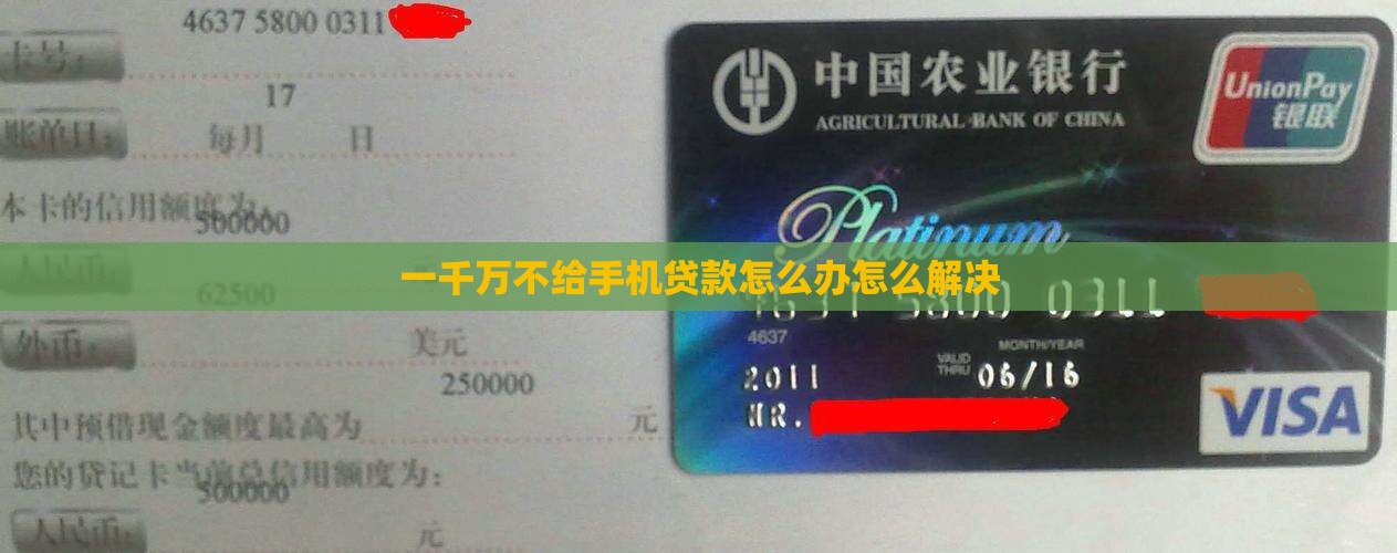 一千万不给手机贷款怎么办