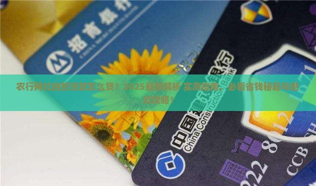 农行网红拍照贷款怎么贷