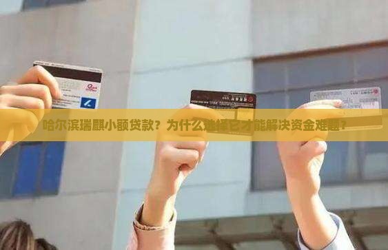 哈尔滨瑞麒小额贷款