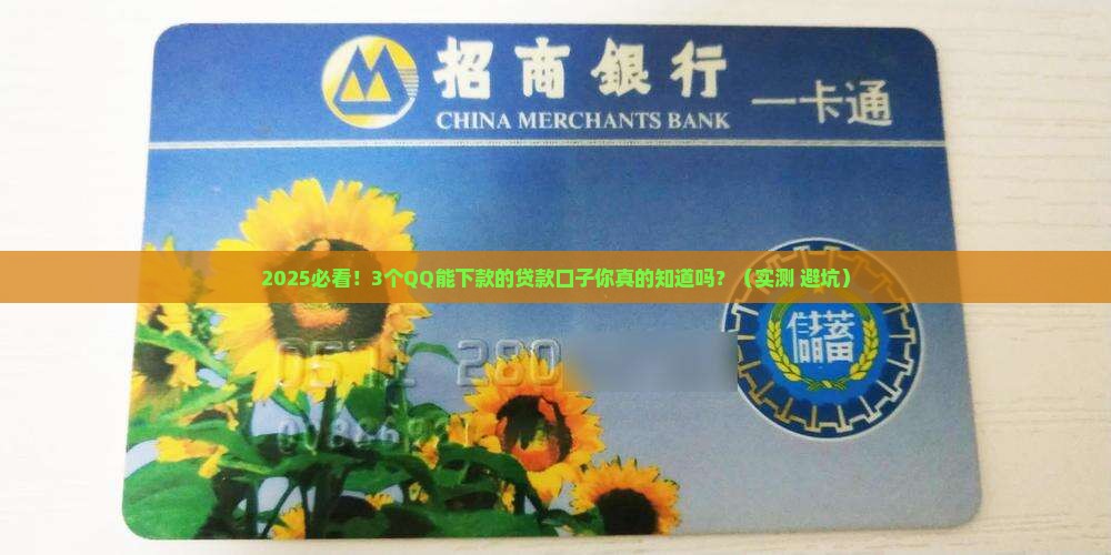 qq能下款的贷款口子