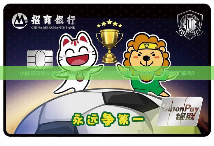 小额贷款确认信息说辞