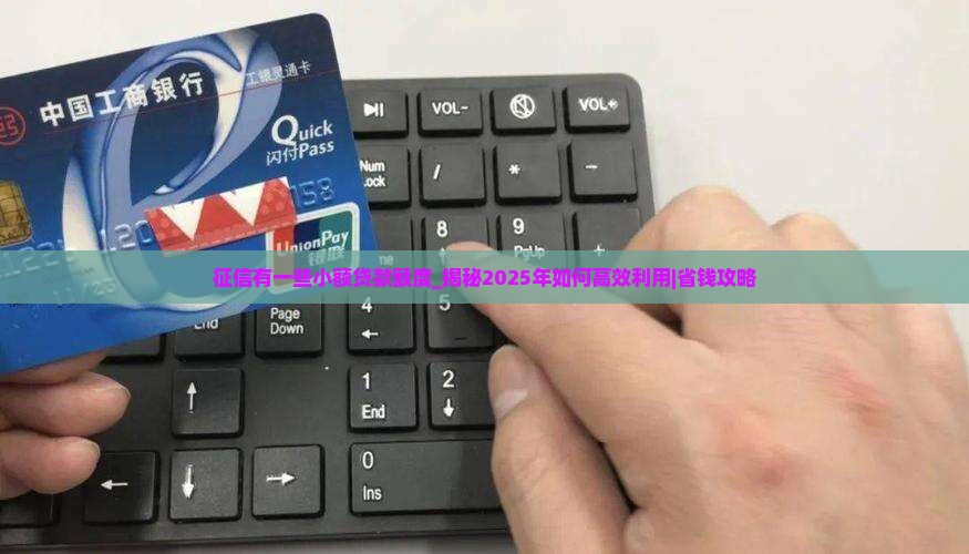 征信有一些小额贷款额度