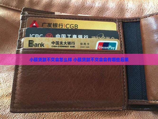 小额贷款不交会怎么样