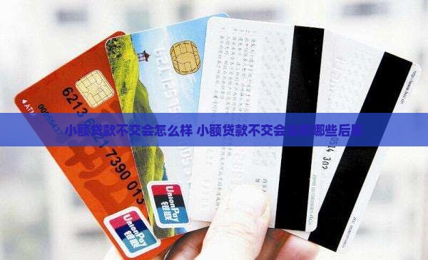 小额贷款不交会怎么样