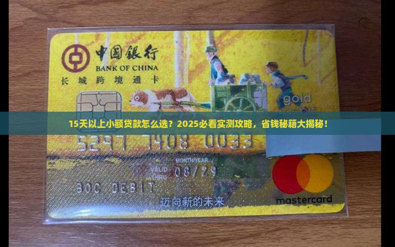 15天以上小额贷款