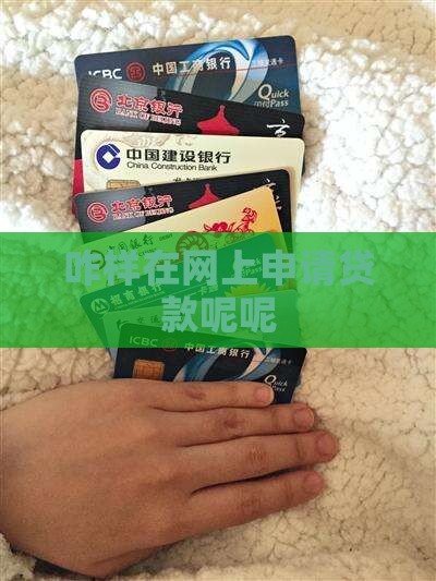 咋样在网上申请贷款呢呢
