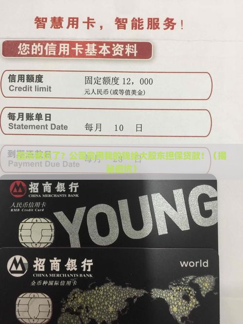 公司给自己股东担保贷款