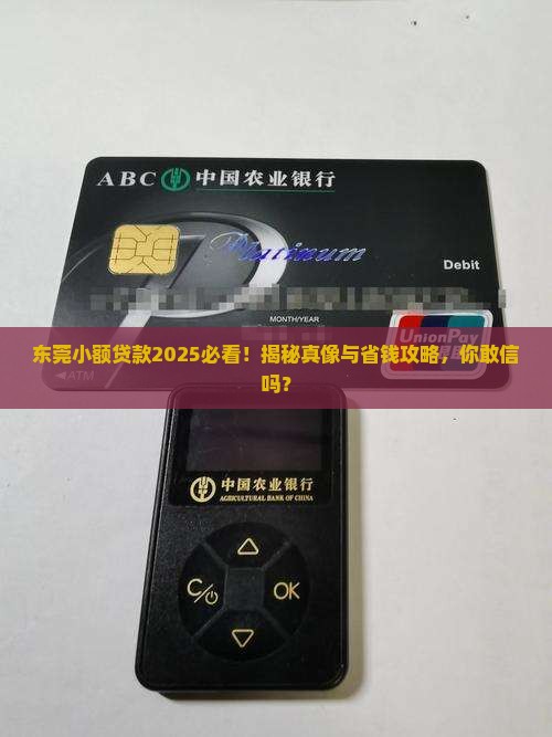 东莞小额贷款能信么