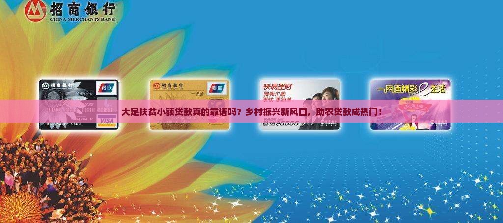 大足扶贫小额贷款