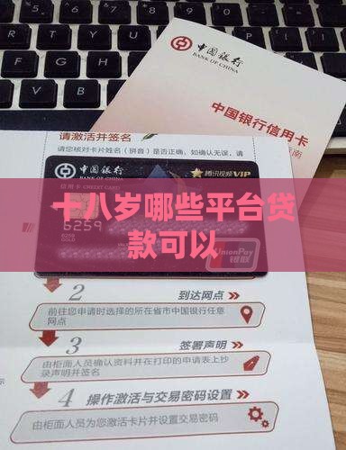 十八岁哪些平台贷款可以