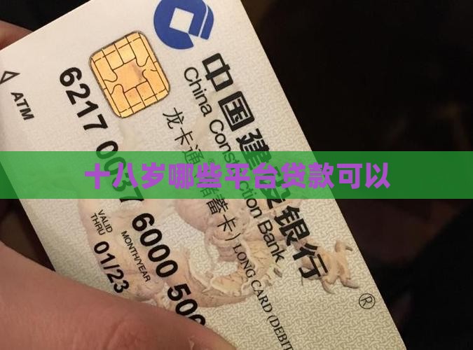 十八岁哪些平台贷款可以