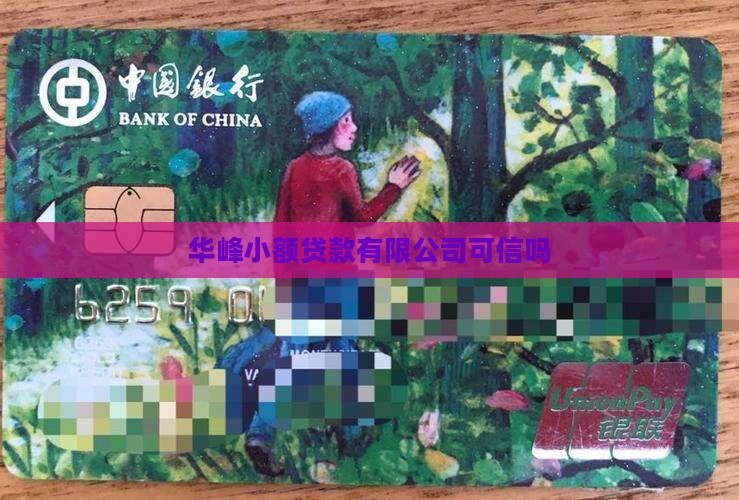 华峰小额贷款可信吗