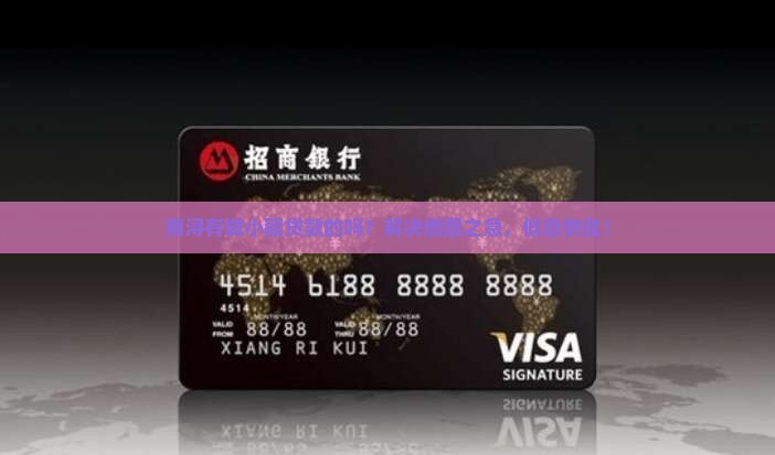 南浔有做小额贷款的吗