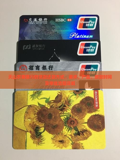 天山农商银行的贷款