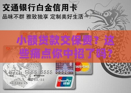 小额贷款交保费