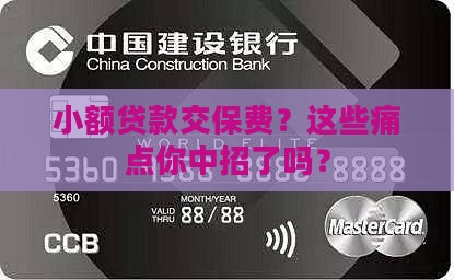 小额贷款交保费