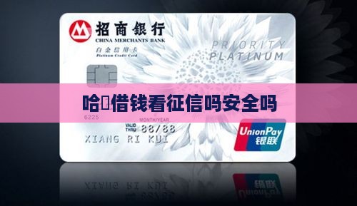 哈啰平台贷款看征信吗安全吗
