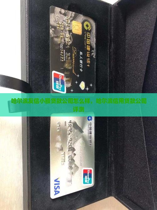 哈尔滨友信小额贷款