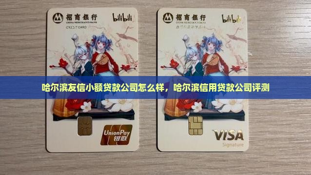 哈尔滨友信小额贷款
