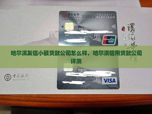 哈尔滨友信小额贷款