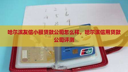 哈尔滨友信小额贷款