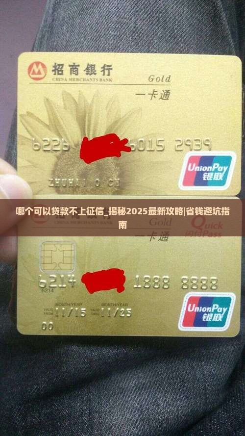 哪个可以贷款不上征信的