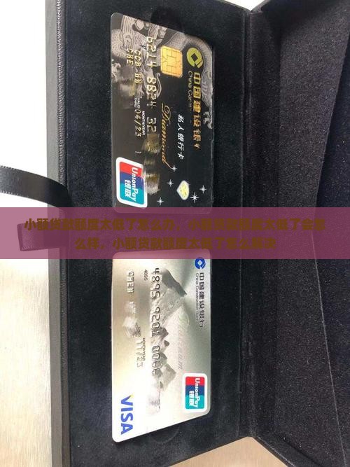 小额贷款额度太低了