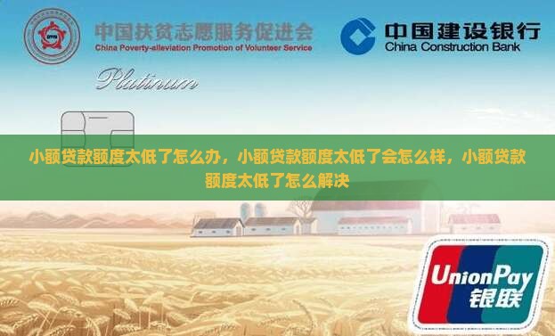 小额贷款额度太低了