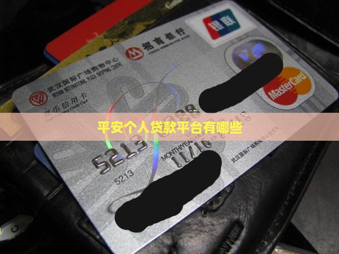 平安普惠个人贷款平台有哪些