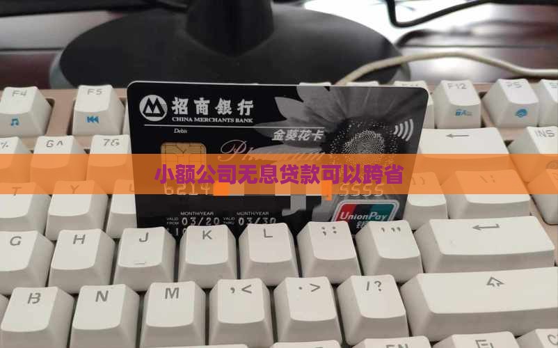 公司无息贷款可以跨省
