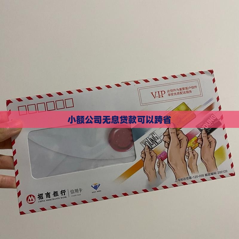 公司无息贷款可以跨省