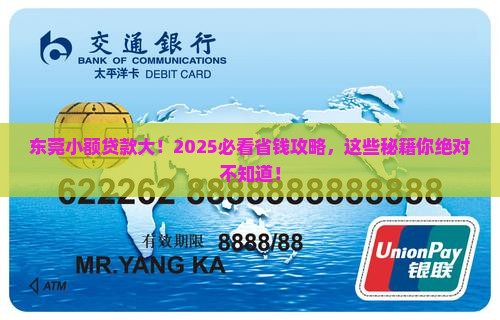东莞小额贷款统计