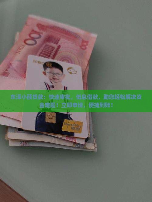 东泽小额贷款