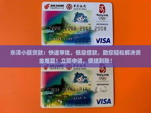 东泽小额贷款
