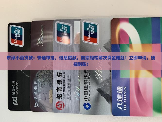 东泽小额贷款