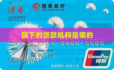 微粒贷旗下的贷款