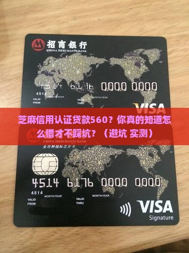 芝麻信用认证贷款560