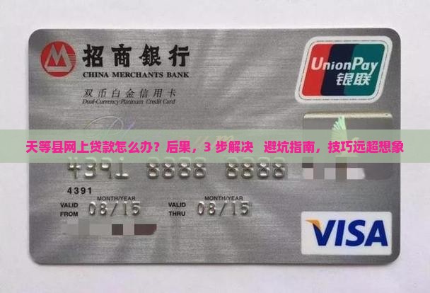 天等县网上贷款