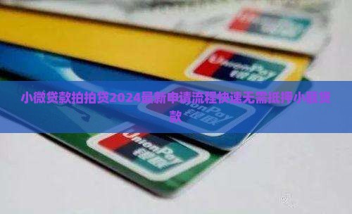 小微贷款拍拍贷