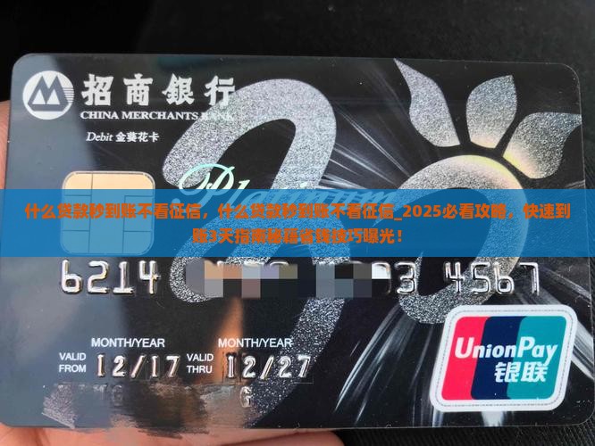 什么贷款秒到账不看征信
